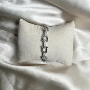 Silver Regal Link  Bangle